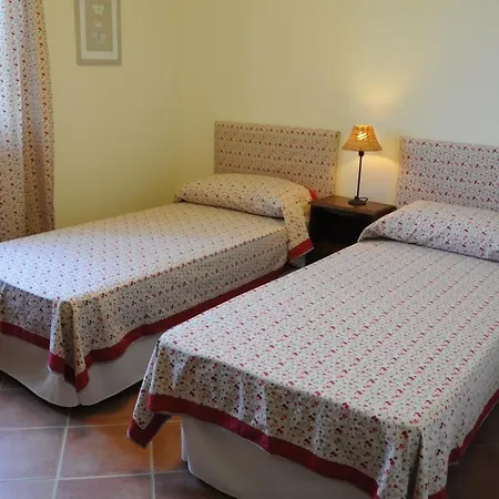 Sotto Il Pergolato Di Glicine