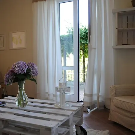 Sotto Il Pergolato Di Glicine