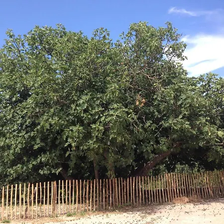 Sotto Il Pergolato Di Glicine Σπίτι διακοπών Gavi