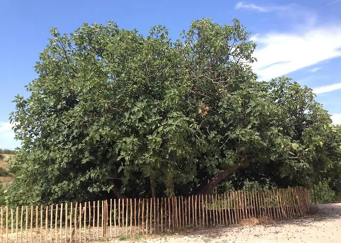 Sotto Il Pergolato Di Glicine Ferienhaus Gavi